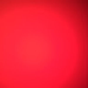 Meet your Posher, Avery